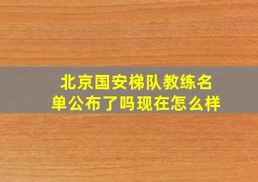 北京国安梯队教练名单公布了吗现在怎么样