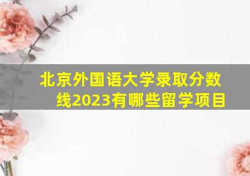 北京外国语大学录取分数线2023有哪些留学项目