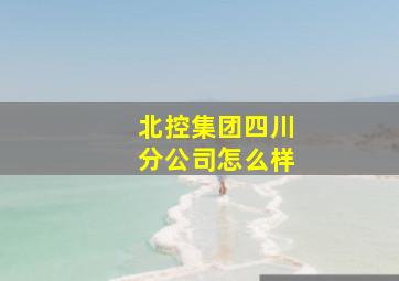 北控集团四川分公司怎么样