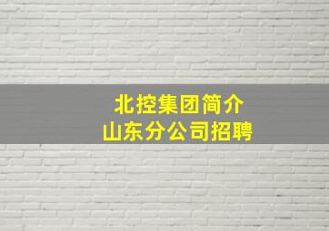 北控集团简介山东分公司招聘