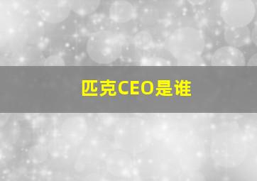 匹克CEO是谁