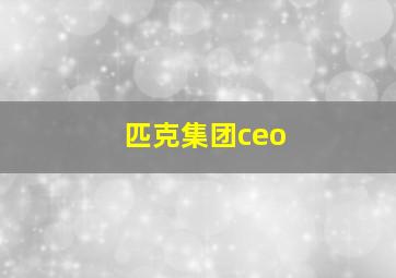 匹克集团ceo