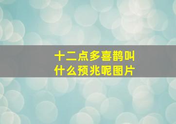 十二点多喜鹊叫什么预兆呢图片