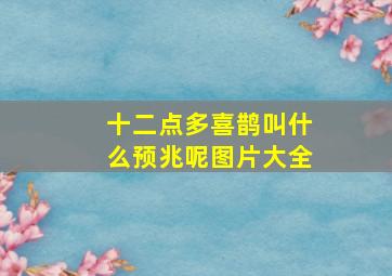 十二点多喜鹊叫什么预兆呢图片大全