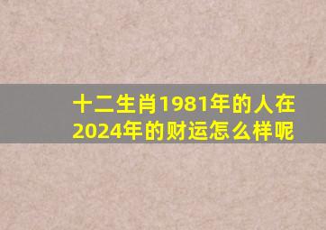 十二生肖1981年的人在2024年的财运怎么样呢