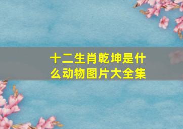 十二生肖乾坤是什么动物图片大全集