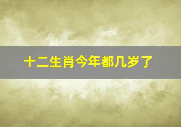 十二生肖今年都几岁了