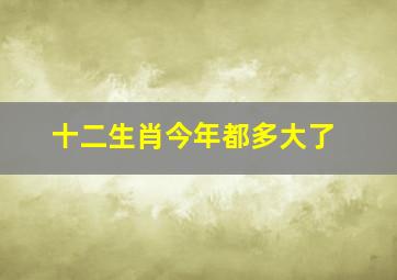 十二生肖今年都多大了