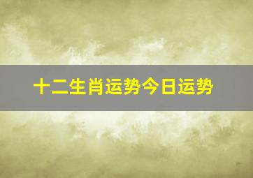 十二生肖运势今日运势