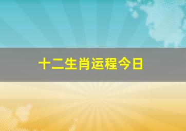 十二生肖运程今日