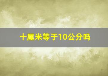 十厘米等于10公分吗