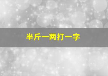 半斤一两打一字