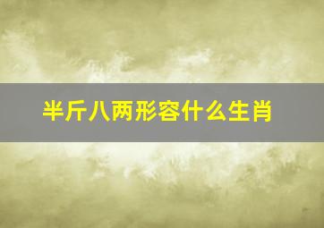 半斤八两形容什么生肖