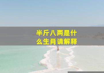 半斤八两是什么生肖请解释