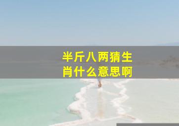 半斤八两猜生肖什么意思啊