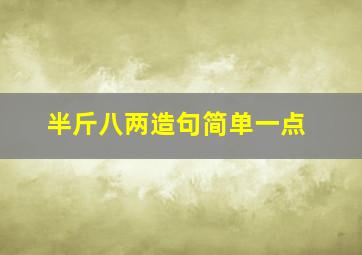 半斤八两造句简单一点