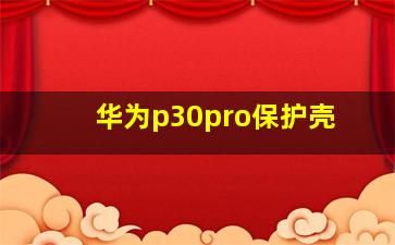 华为p30pro保护壳