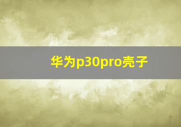 华为p30pro壳子