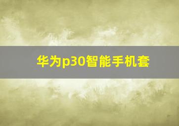 华为p30智能手机套