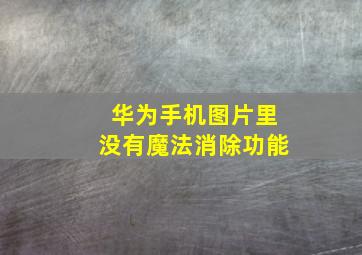 华为手机图片里没有魔法消除功能