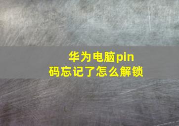 华为电脑pin码忘记了怎么解锁