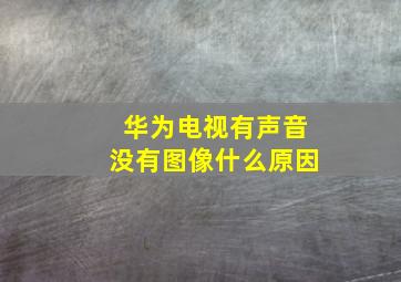 华为电视有声音没有图像什么原因