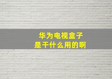 华为电视盒子是干什么用的啊