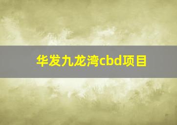 华发九龙湾cbd项目