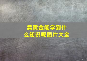 卖黄金能学到什么知识呢图片大全