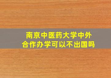 南京中医药大学中外合作办学可以不出国吗