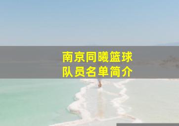 南京同曦篮球队员名单简介