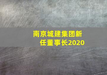 南京城建集团新任董事长2020