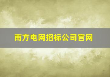 南方电网招标公司官网