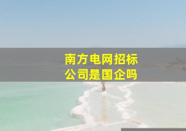 南方电网招标公司是国企吗