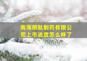 南海朗肽制药有限公司上市进度怎么样了