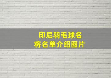 印尼羽毛球名将名单介绍图片