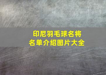 印尼羽毛球名将名单介绍图片大全