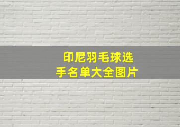 印尼羽毛球选手名单大全图片