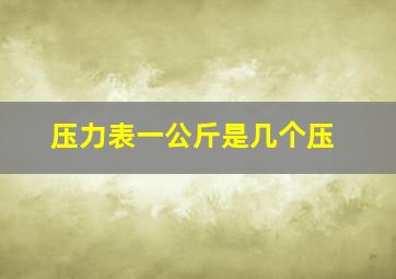 压力表一公斤是几个压