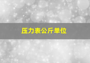 压力表公斤单位