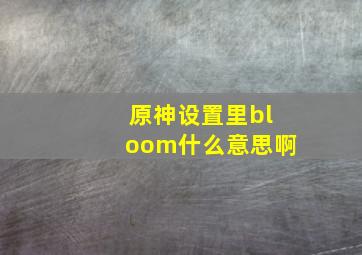 原神设置里bloom什么意思啊