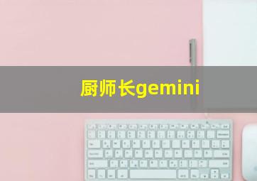 厨师长gemini