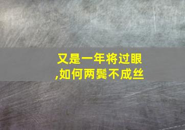 又是一年将过眼,如何两鬓不成丝