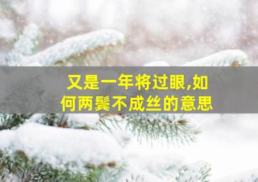 又是一年将过眼,如何两鬓不成丝的意思