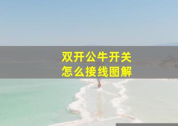 双开公牛开关怎么接线图解