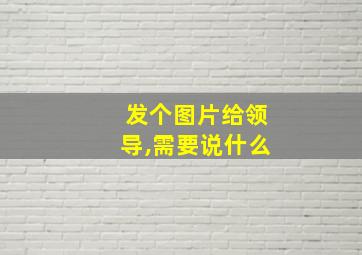 发个图片给领导,需要说什么