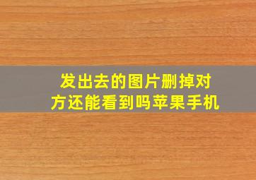 发出去的图片删掉对方还能看到吗苹果手机