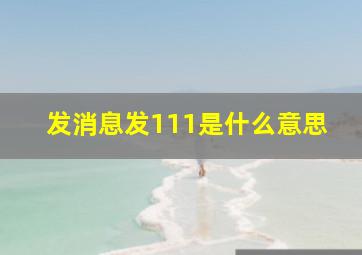 发消息发111是什么意思