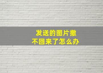 发送的图片撤不回来了怎么办