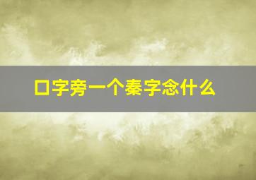 口字旁一个秦字念什么